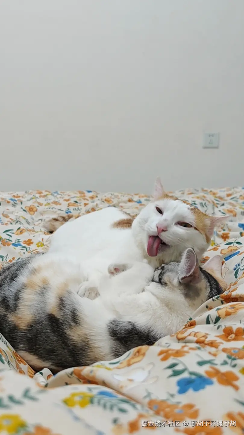 哪胡不开提哪胡于2025-04-18 09:45发布的图片