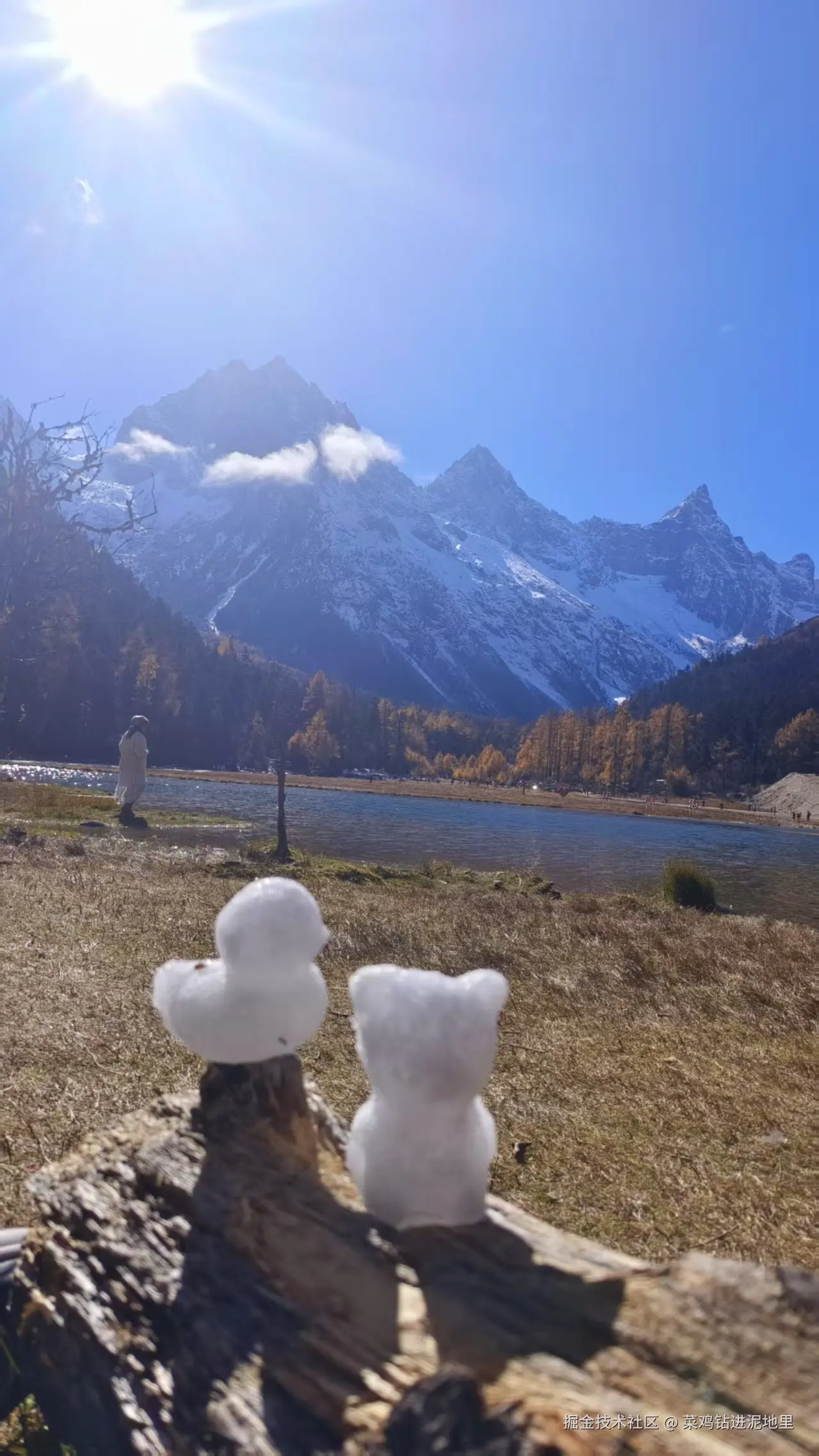 菜鸡钻进泥地里于2025-11-10 15:46发布的图片