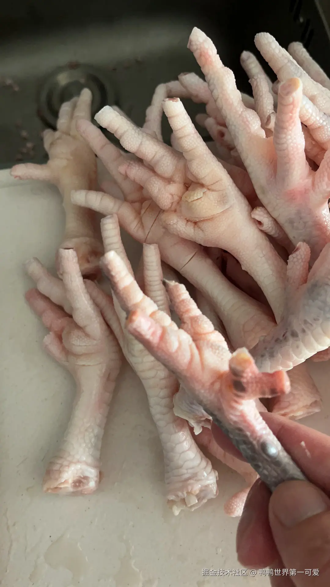 鸭鸭世界第一可爱于2024-07-24 14:52发布的图片