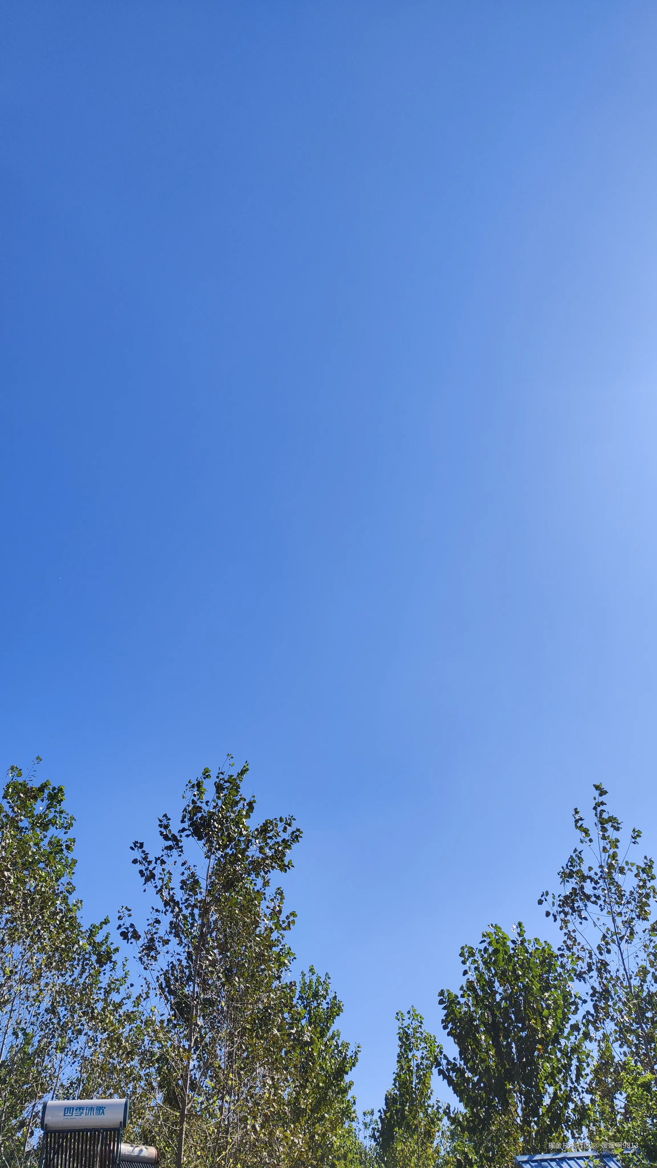 媛媛啊9813于2024-12-15 22:46发布的图片