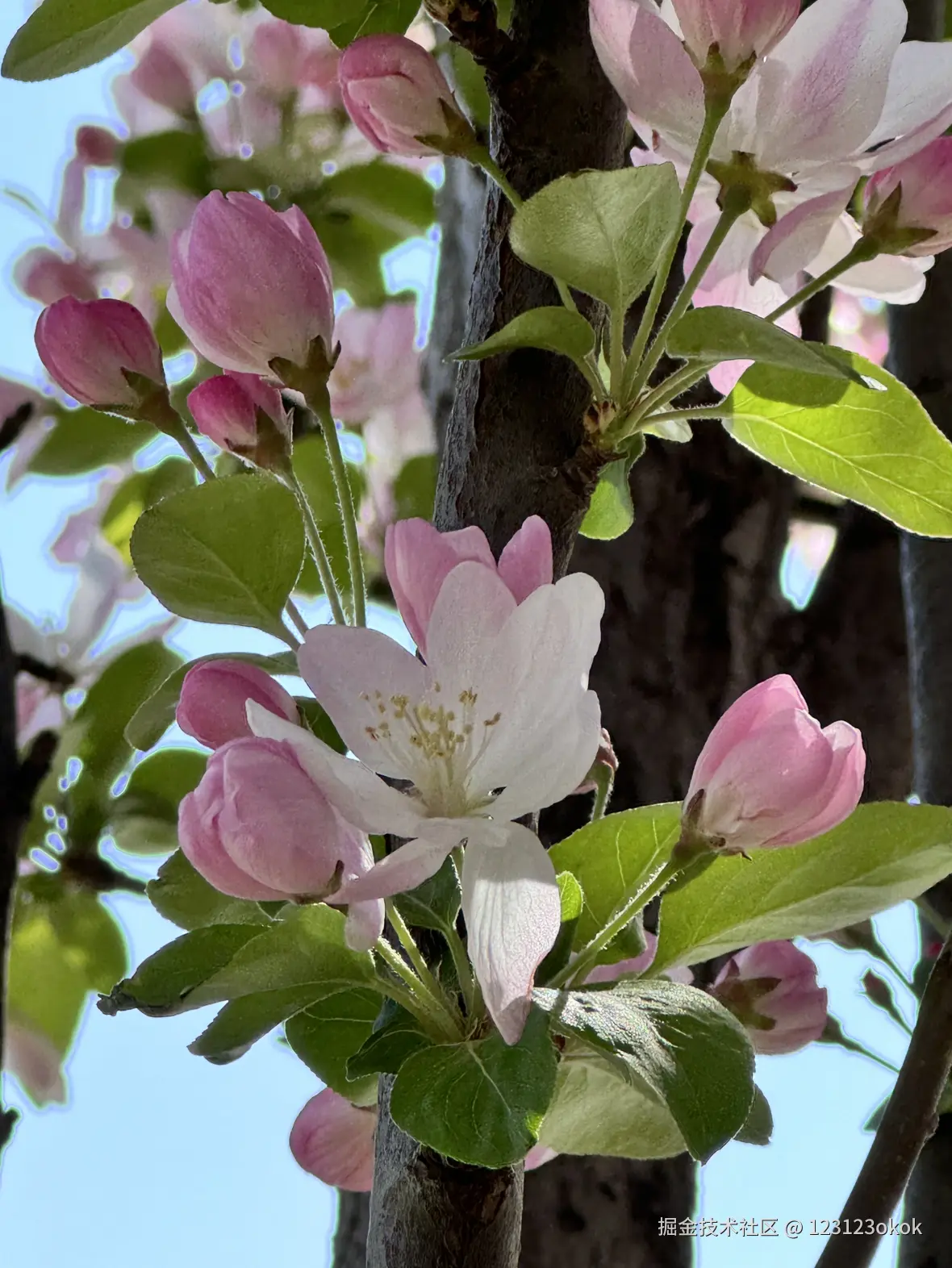 123123okok于2025-03-31 13:37发布的图片