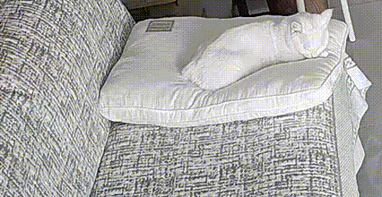 就爱吃火锅于2025-10-21 16:04发布的图片