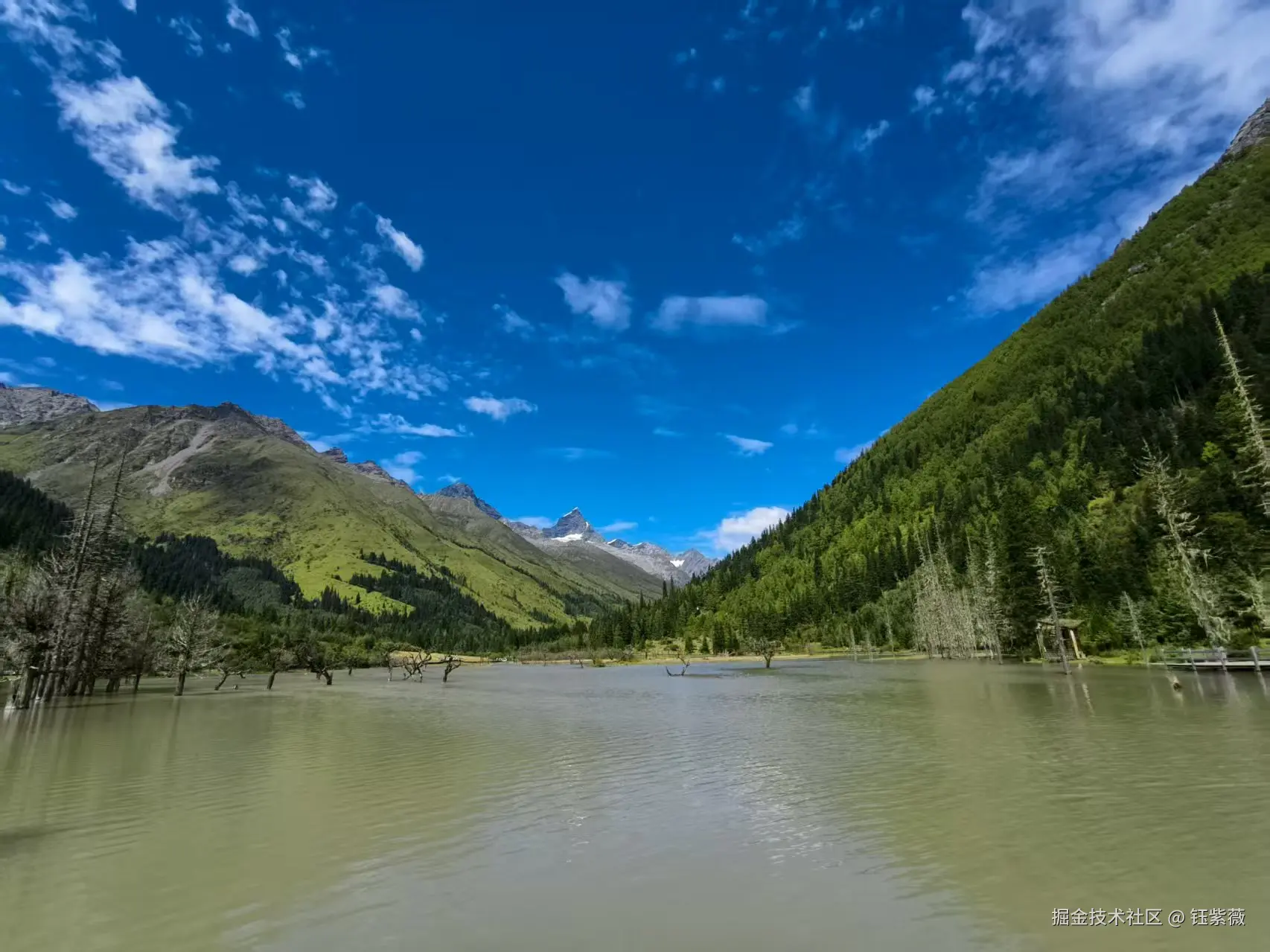 钰紫薇于2025-09-16 09:31发布的图片