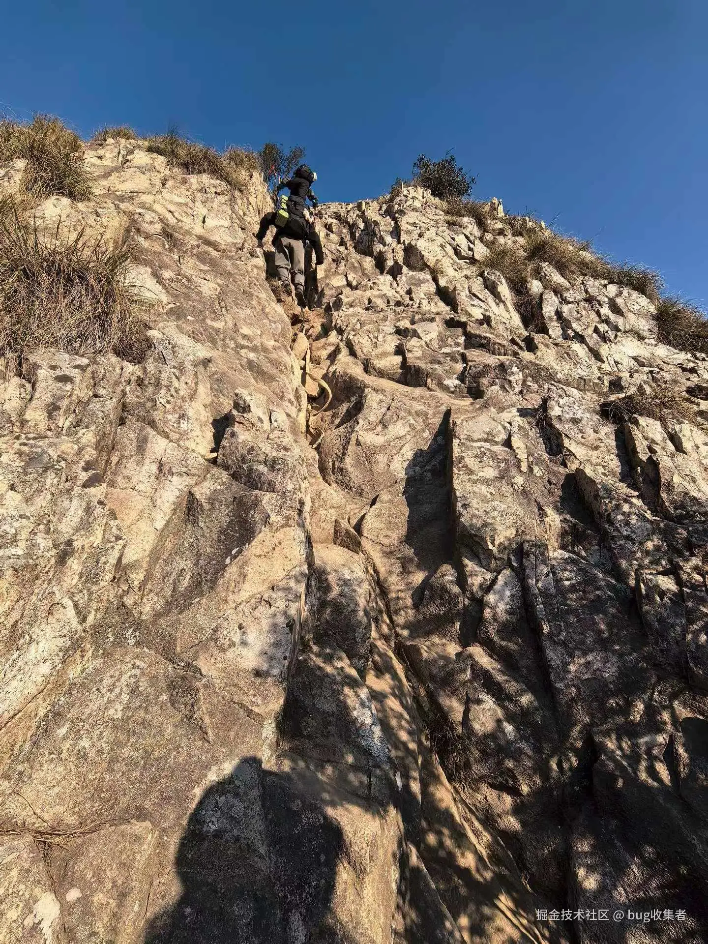 bug收集者于2026-03-16 11:07发布的图片