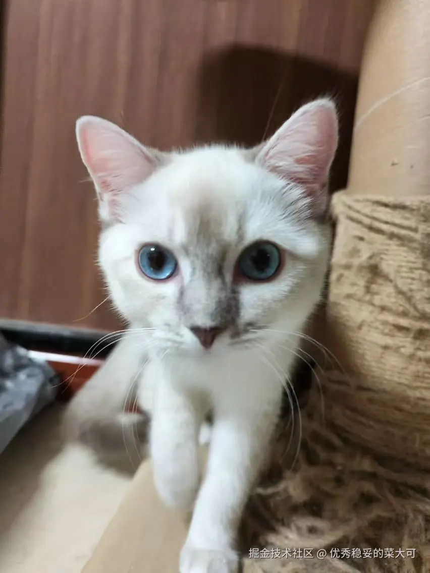 优秀稳妥的菜大可于2024-09-06 08:30发布的图片