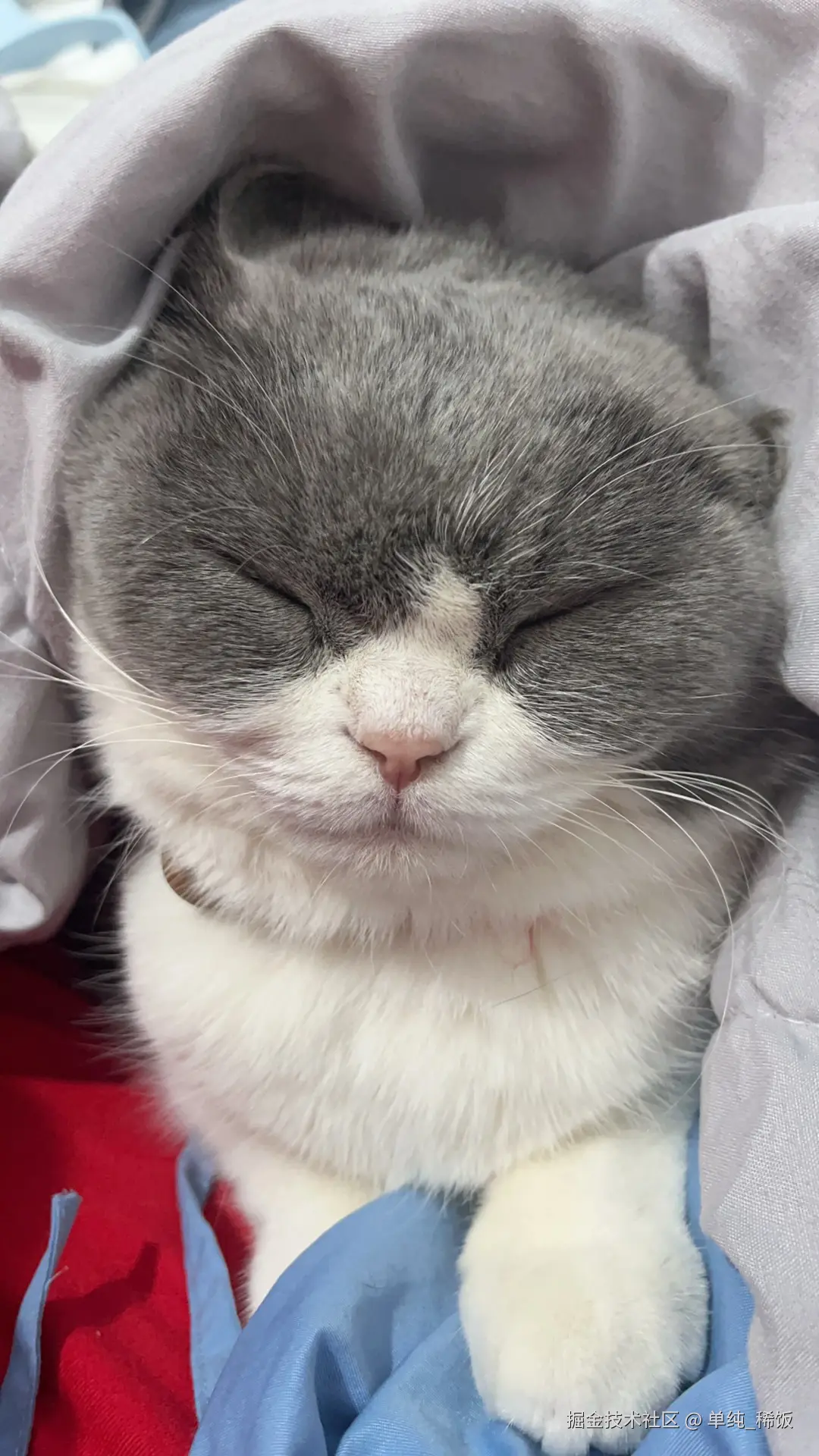 单纯_稀饭于2025-02-07 08:15发布的图片