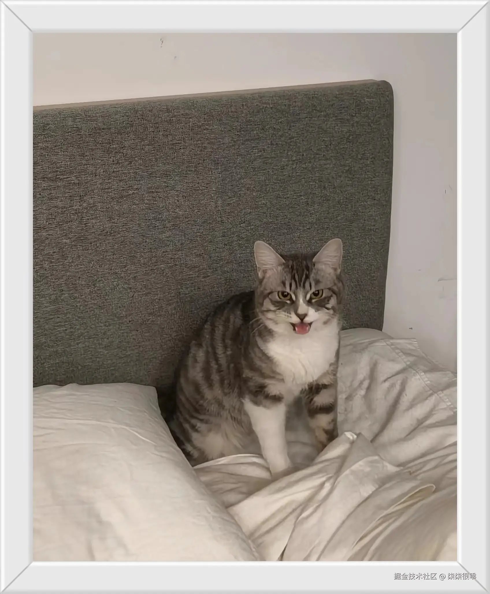 柒柒很乖于2024-12-25 17:55发布的图片