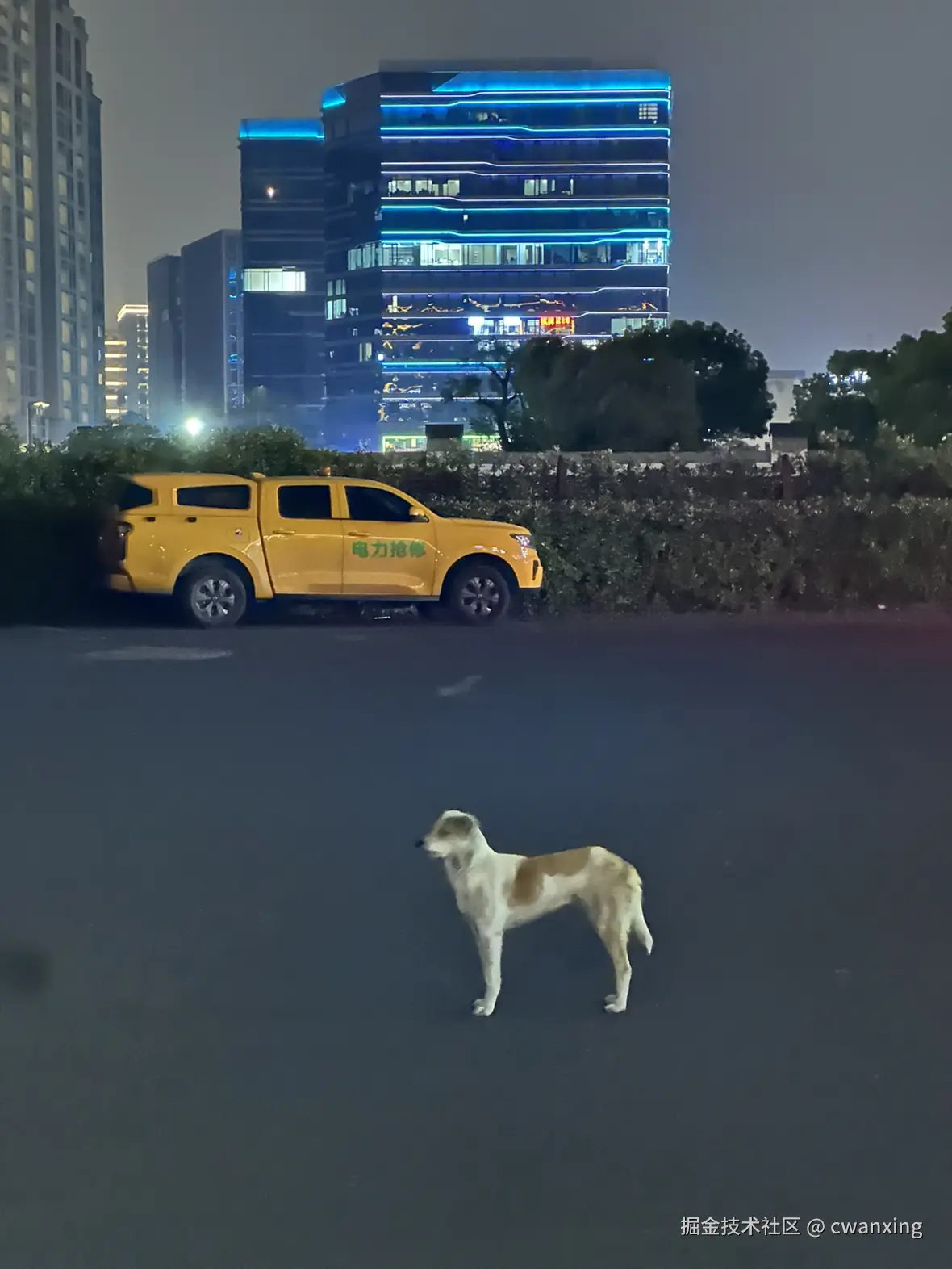 cwanxing于2025-04-27 15:36发布的图片