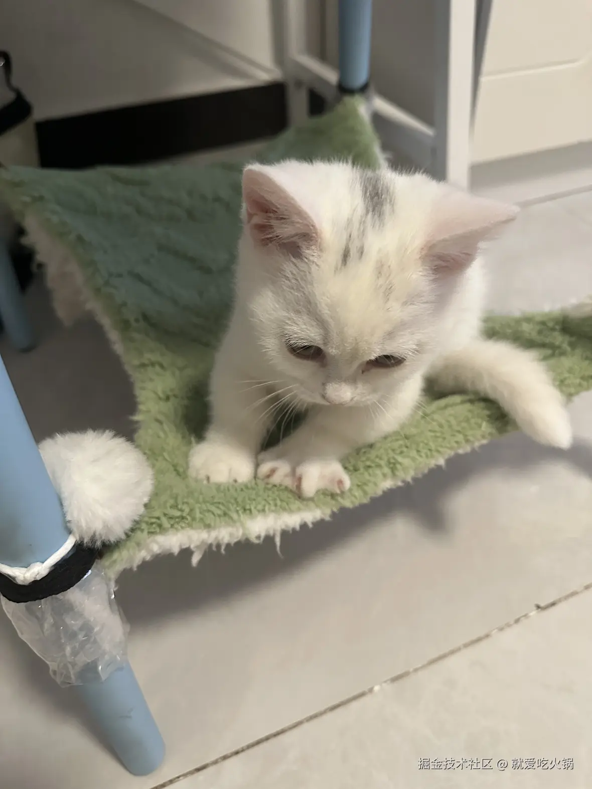 就爱吃火锅于2025-04-07 13:37发布的图片