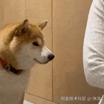 沐汶于2026-01-29 15:34发布的图片