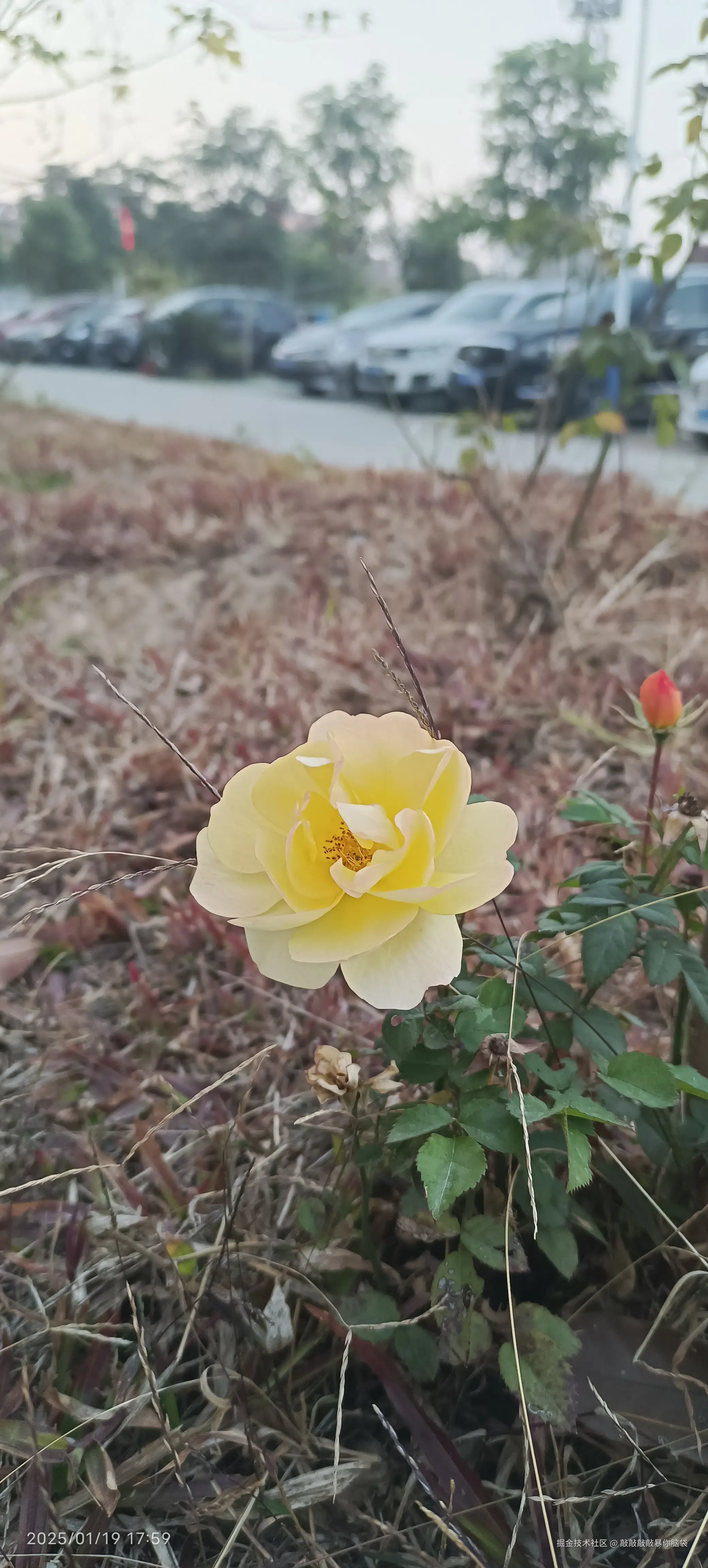 敲敲敲敲暴你脑袋于2025-01-28 07:49发布的图片