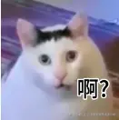 不做前端就去卖炒粉于2026-04-30 09:49发布的图片