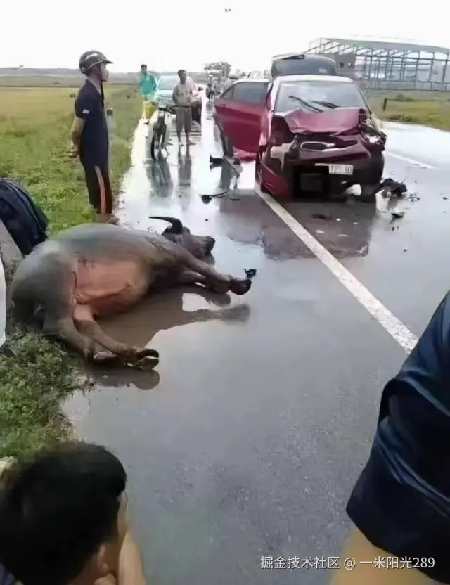 一米阳光289于2024-11-19 10:55发布的图片