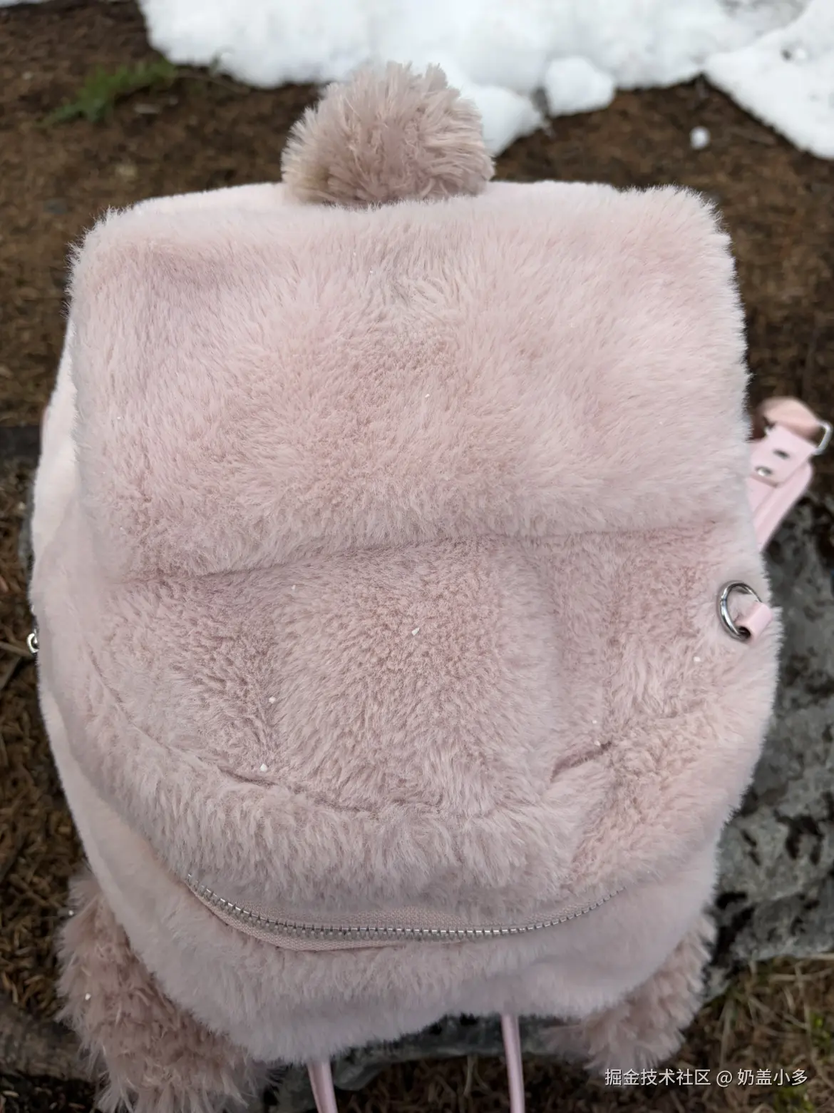 奶盖小多于2026-04-21 16:29发布的图片