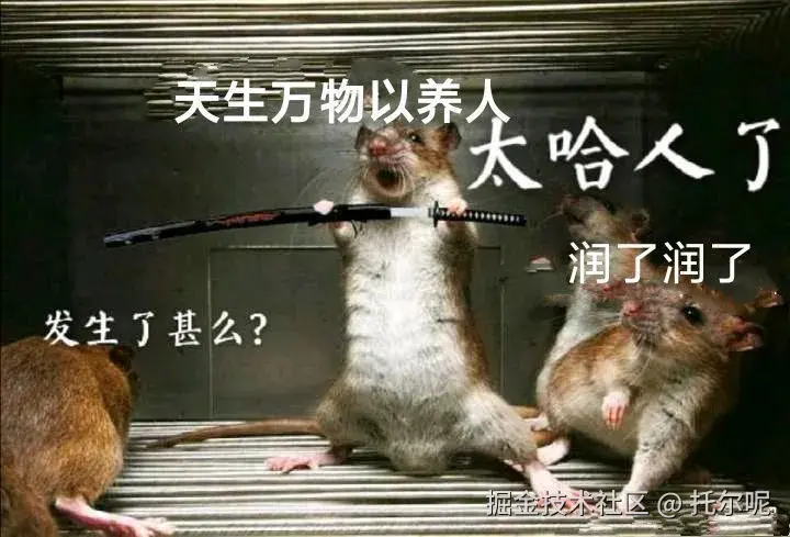 农村鼠鼠在下水道里偷偷学习react🥹