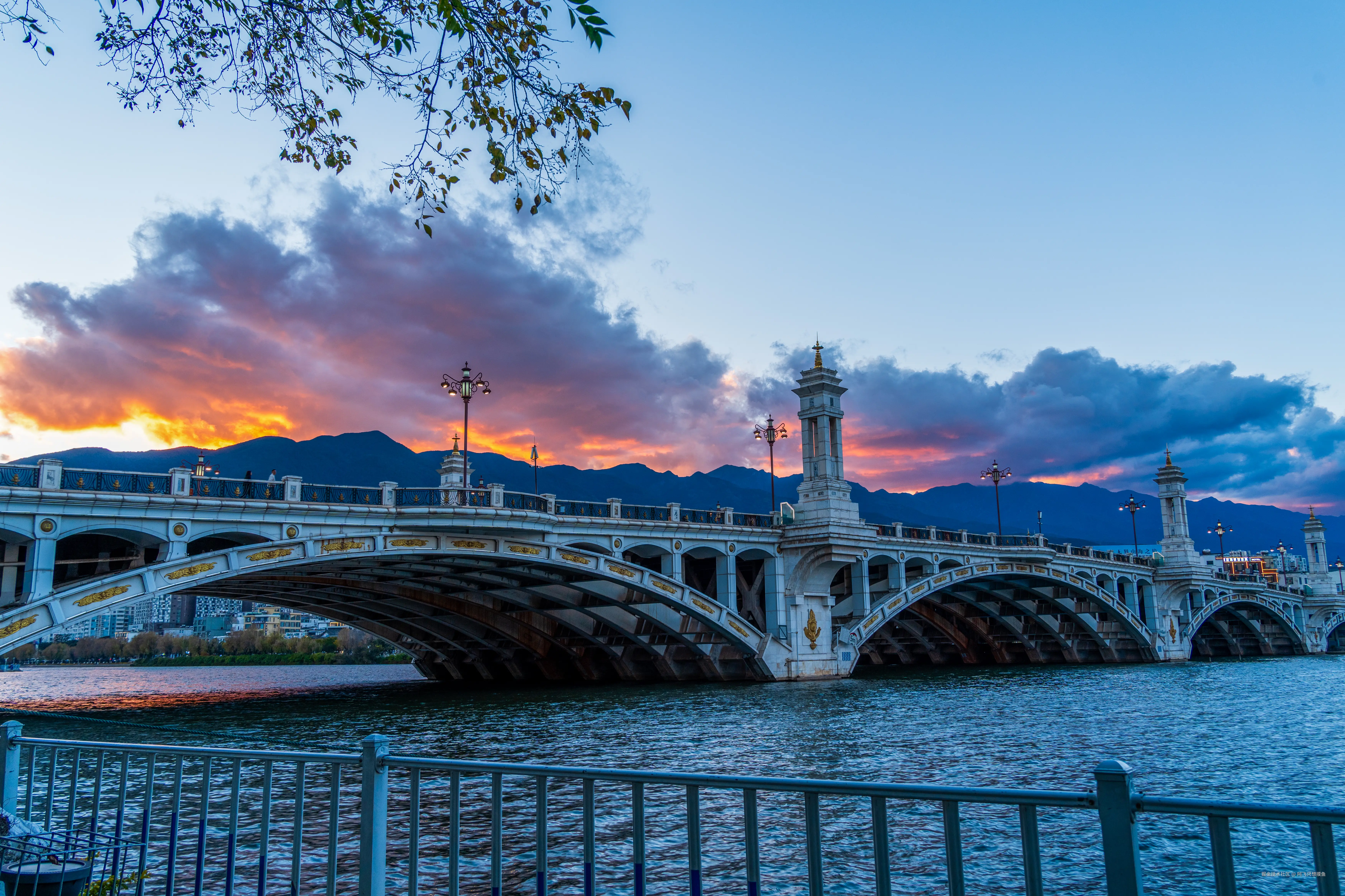 阿飞只想摸鱼于2026-02-11 14:43发布的图片