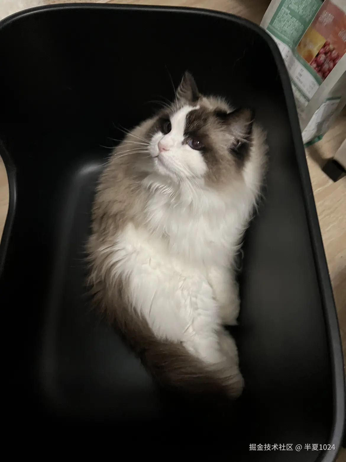 半夏1024于2025-03-27 13:51发布的图片