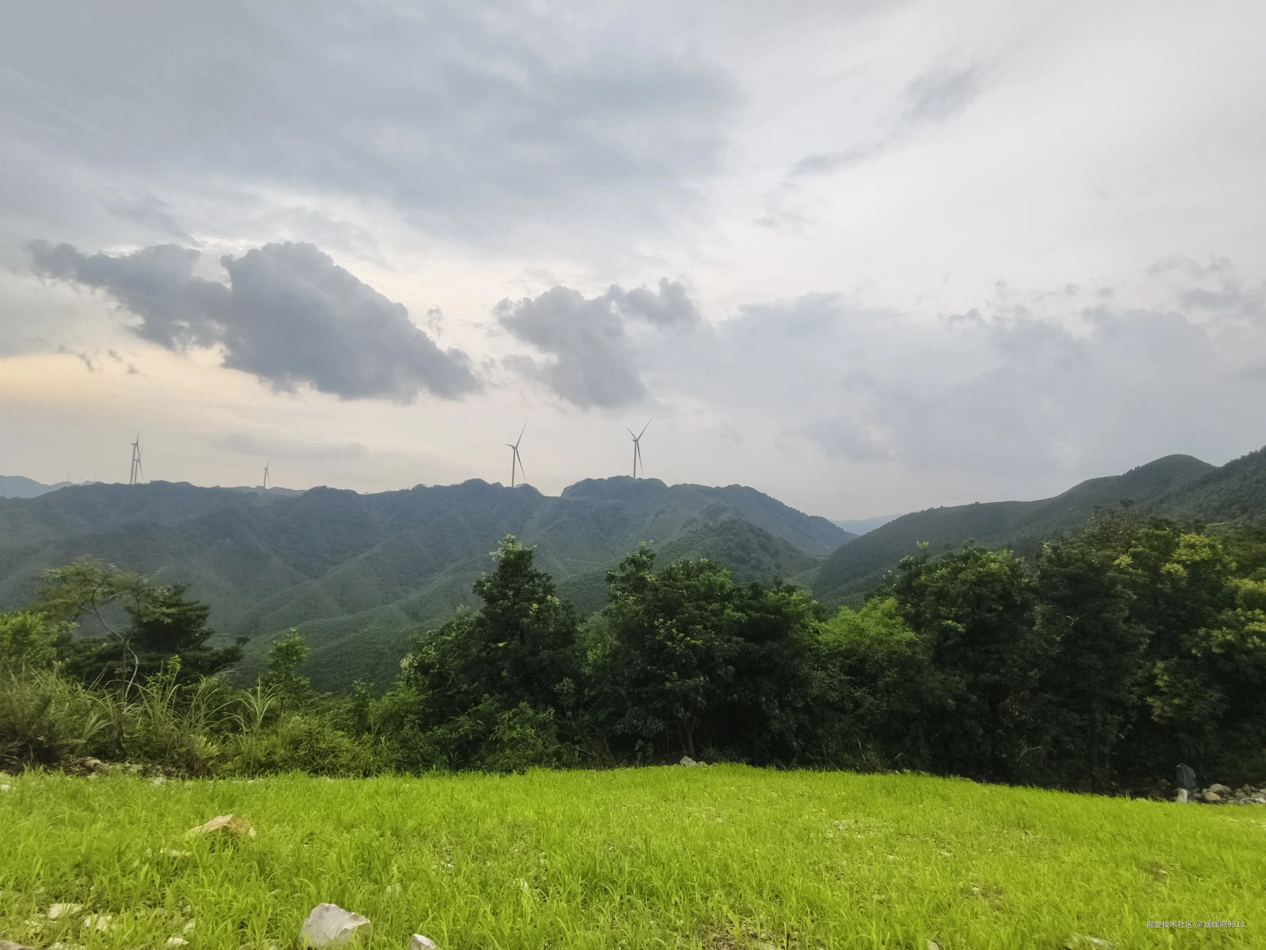 媛媛啊9813于2025-07-20 16:55发布的图片