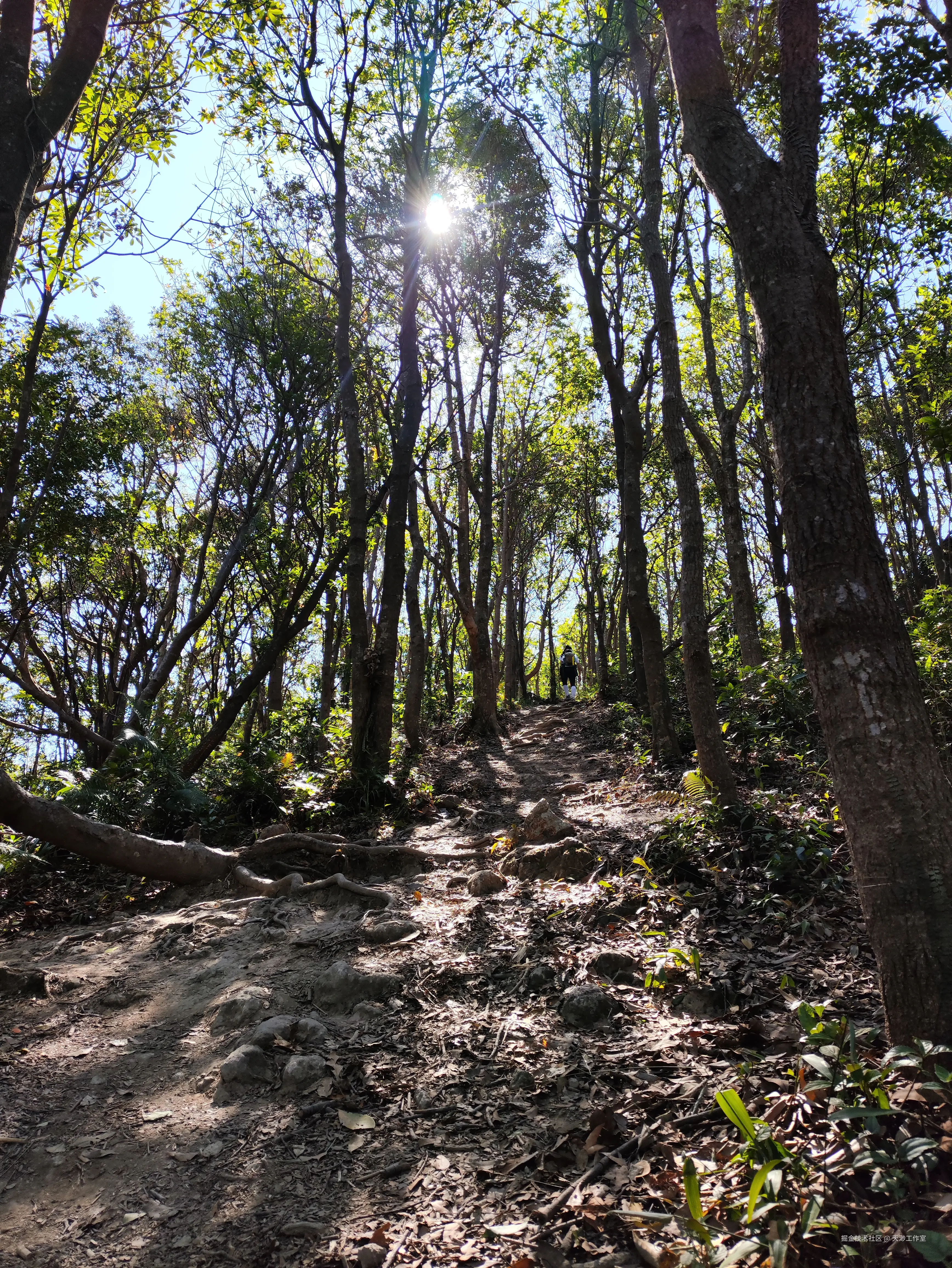 天渺工作室于2025-11-24 04:40发布的图片