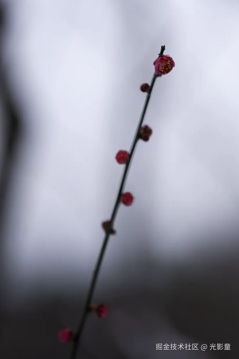 光影童于2026-01-21 11:03发布的图片