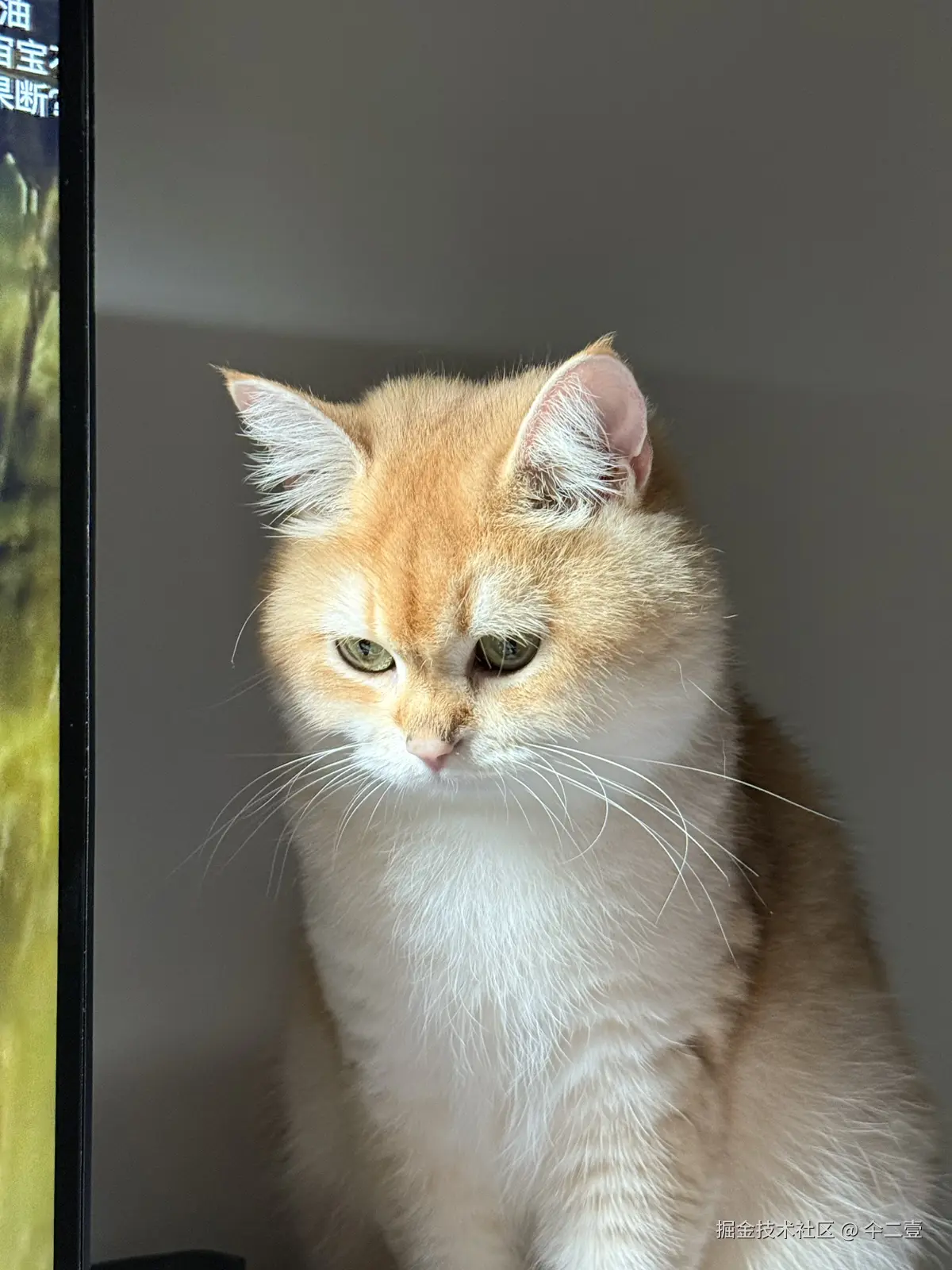 仐二壹于2025-10-23 16:01发布的图片