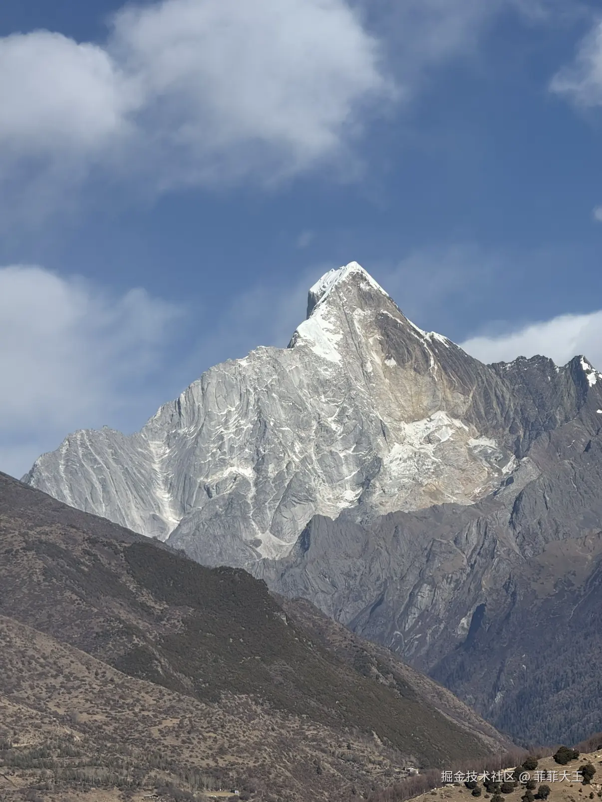 菲菲大王于2025-12-15 10:55发布的图片