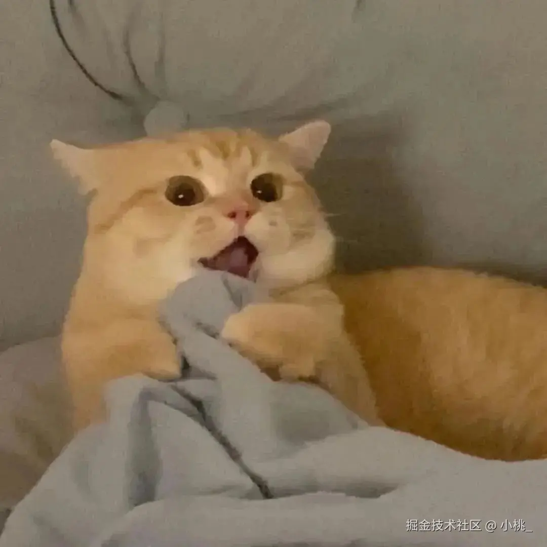 小桃_于2025-08-06 11:56发布的图片