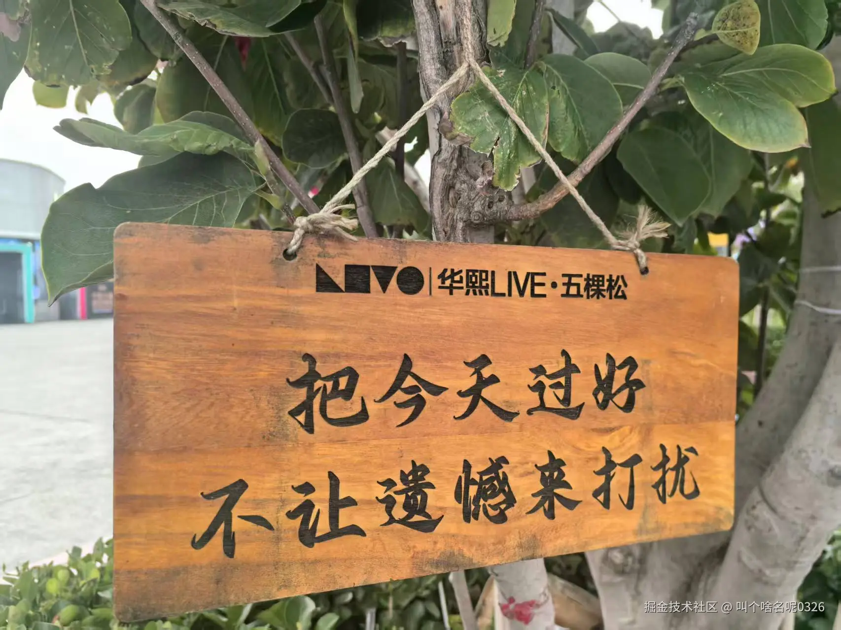 叫个啥名呢0326于2025-09-30 10:10发布的图片