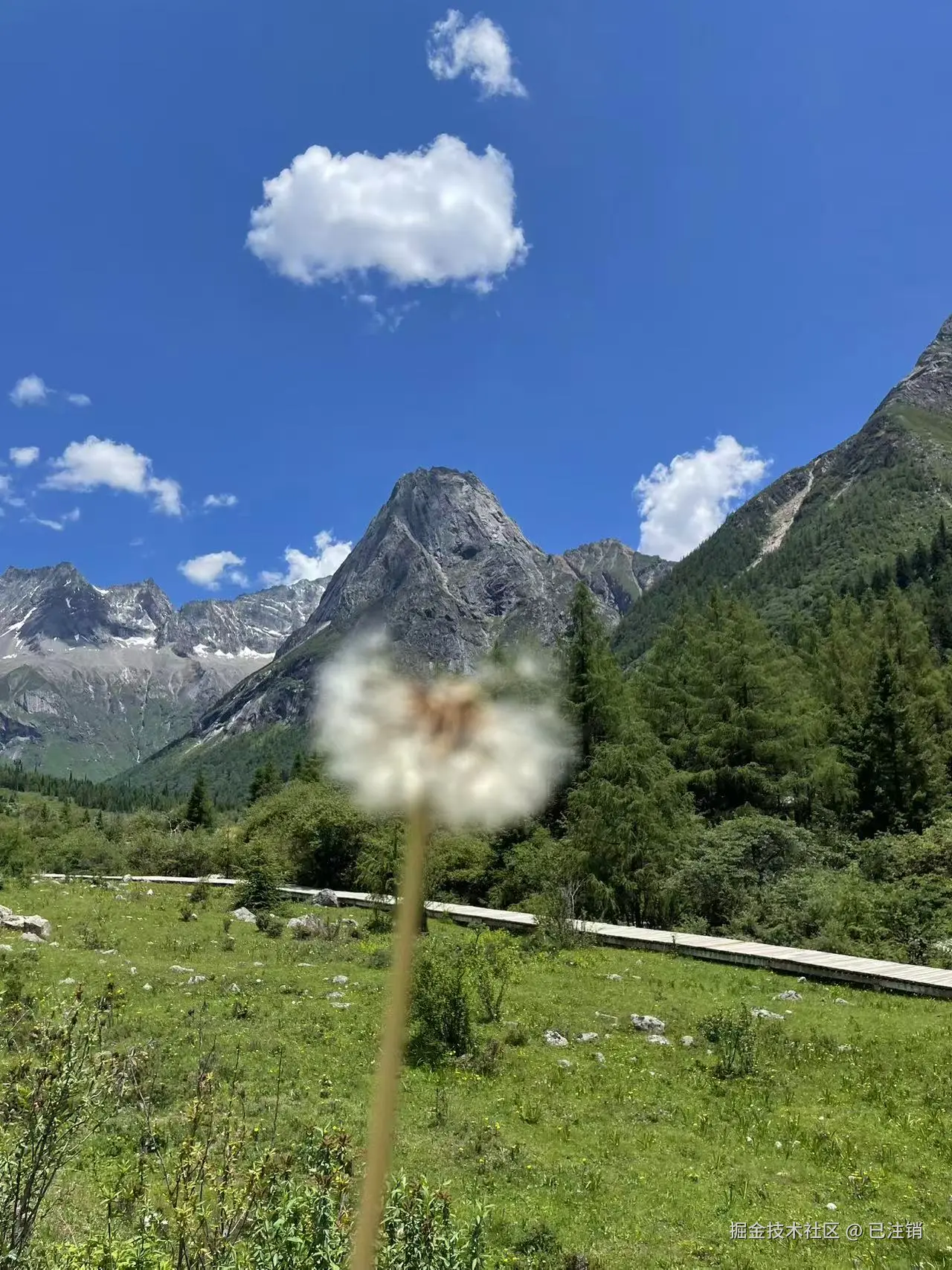 已注销于2025-05-26 08:22发布的图片