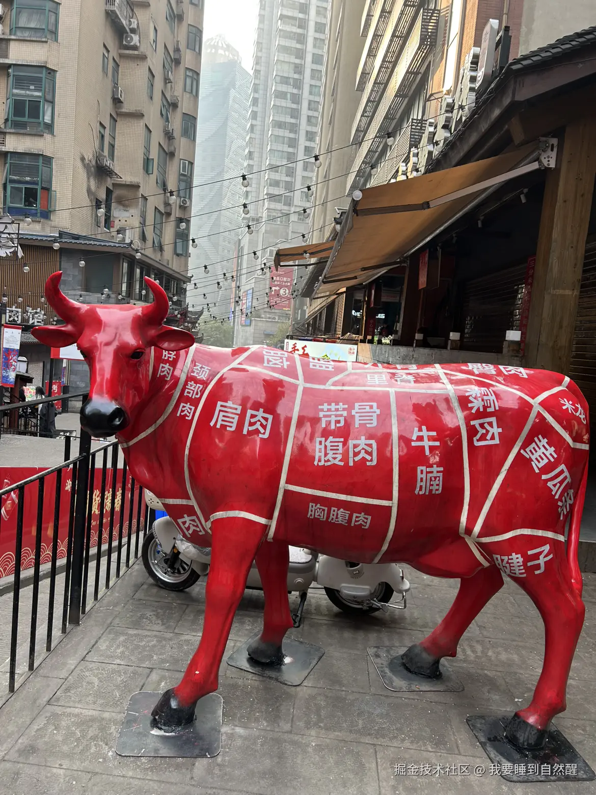 我要睡到自然醒于2026-02-13 12:16发布的图片