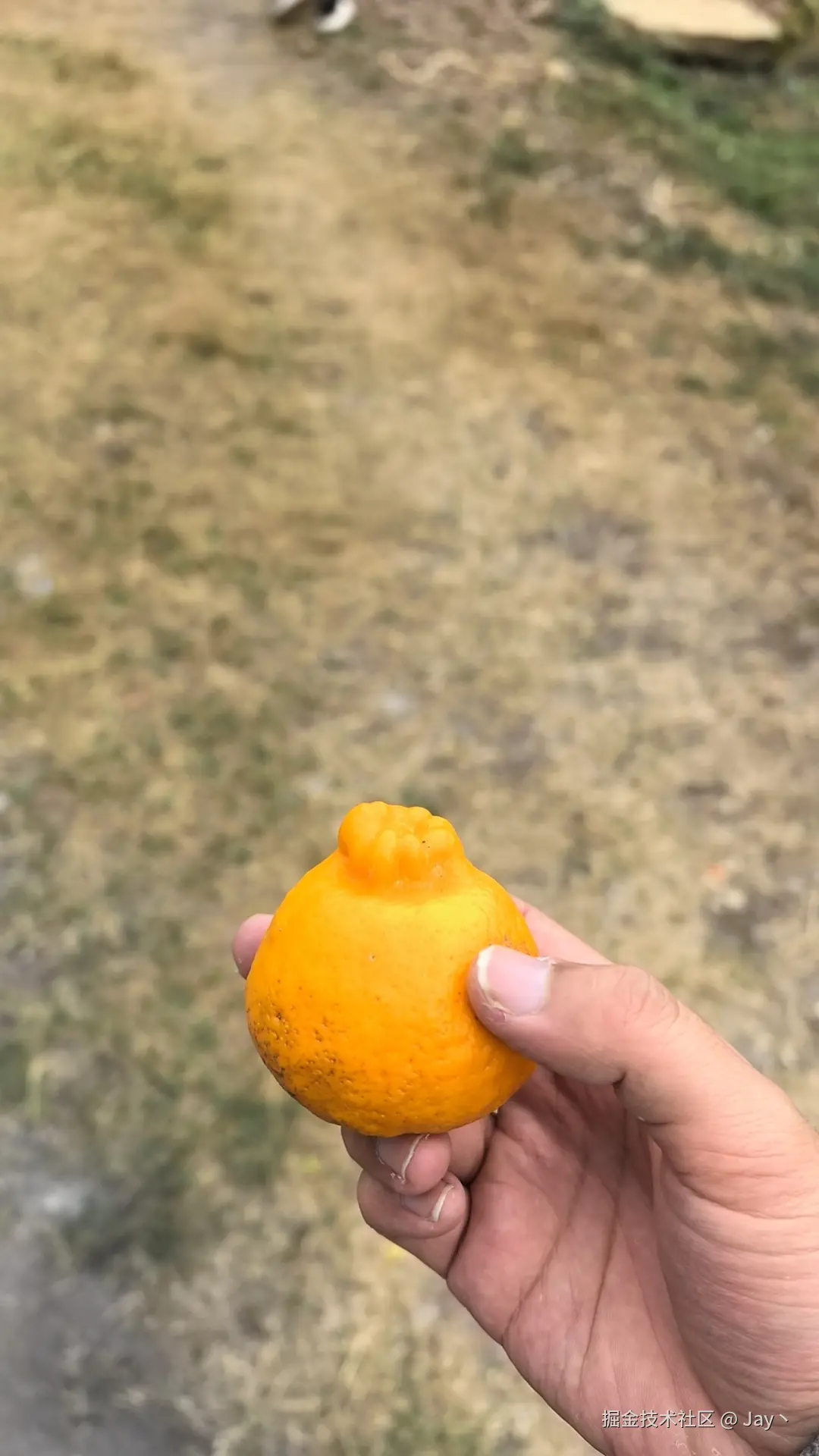 Jay丶于2026-02-24 11:34发布的图片