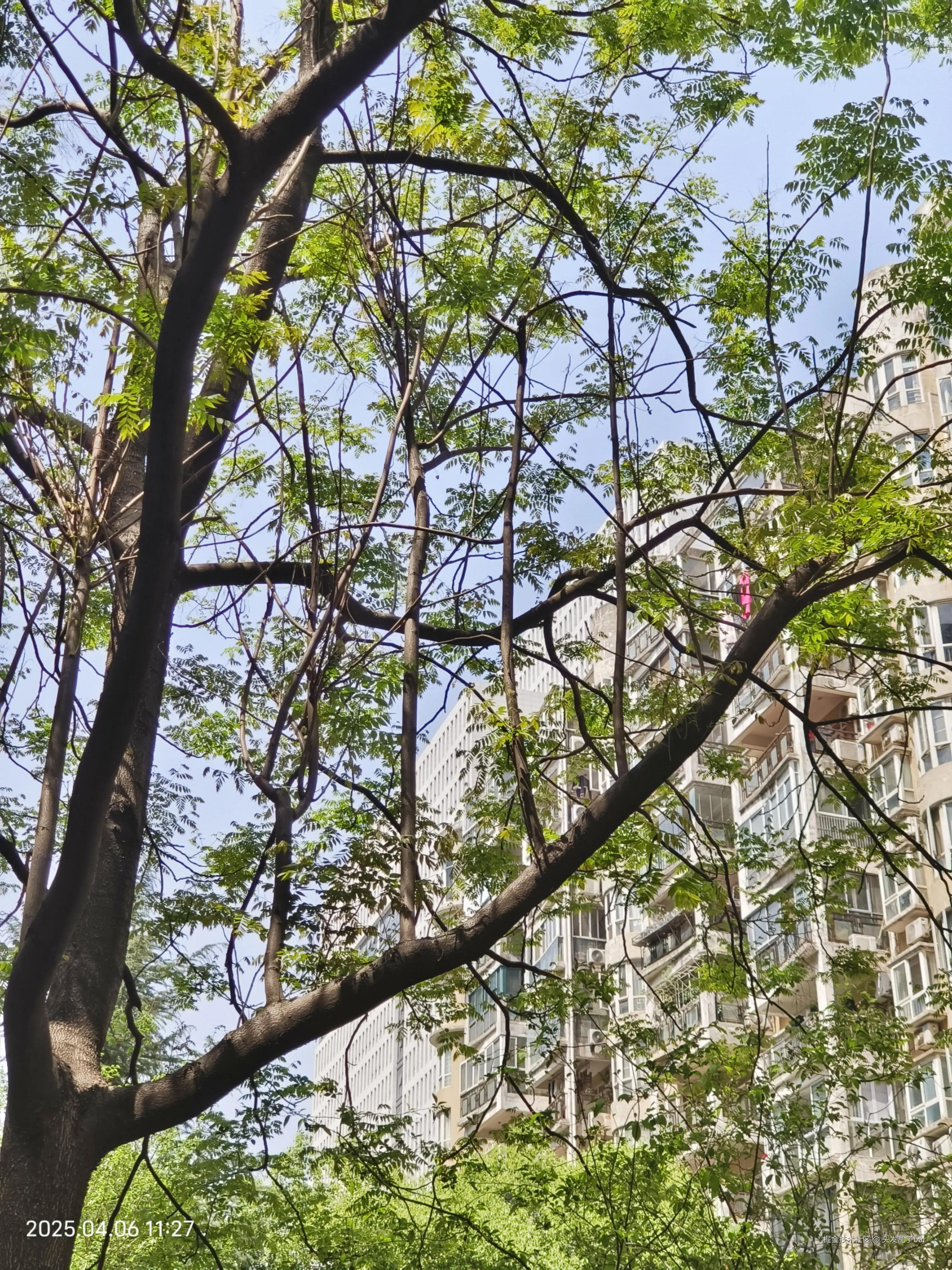 头发乱了bar于2025-04-06 11:31发布的图片