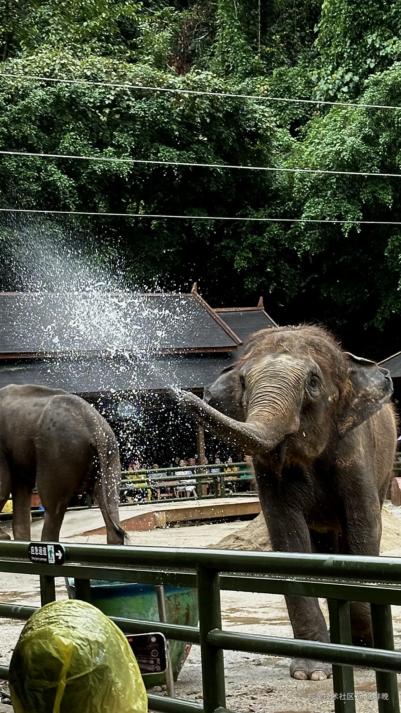 徐非晚于2024-12-03 14:37发布的图片