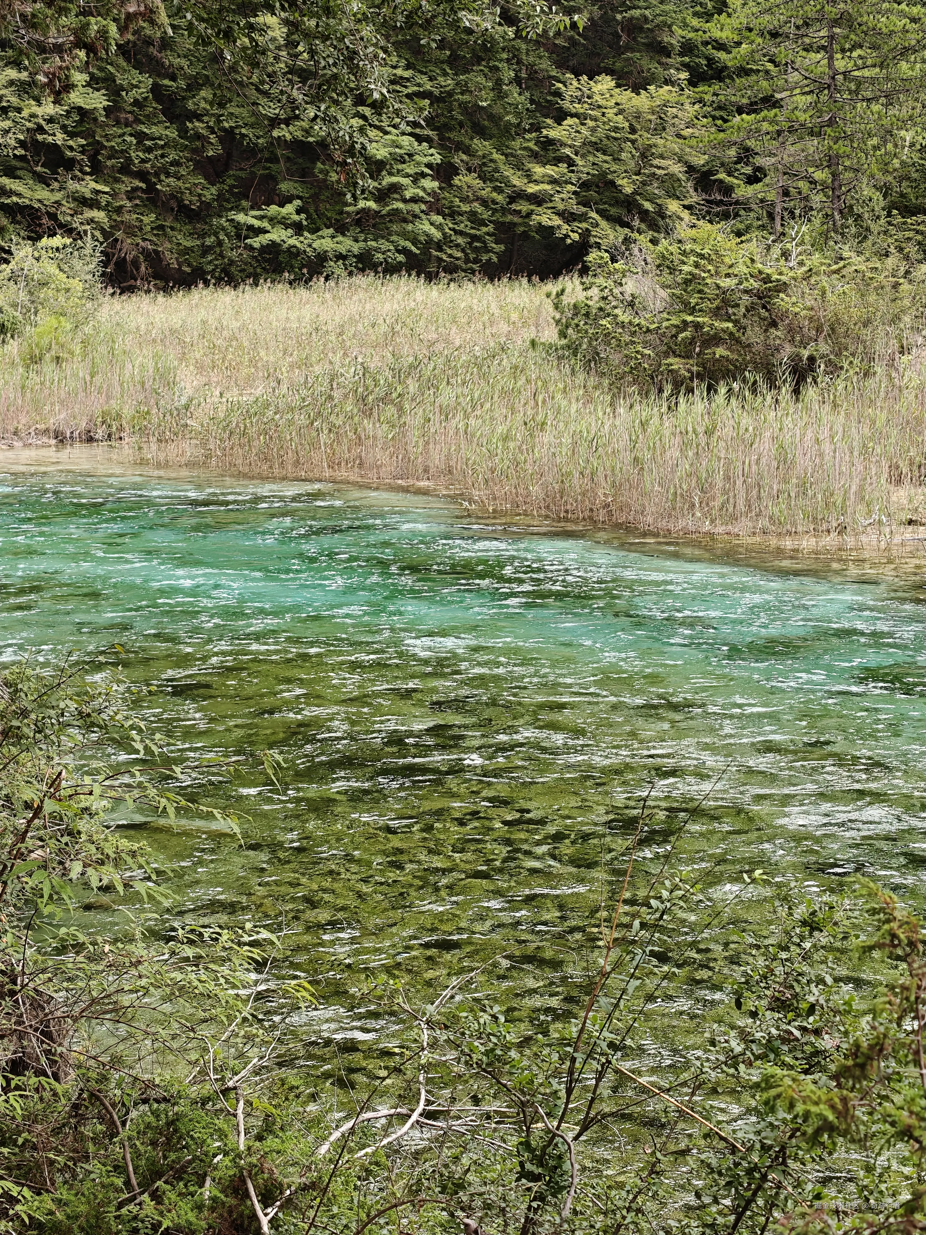 奇跡行者于2025-08-18 14:48发布的图片