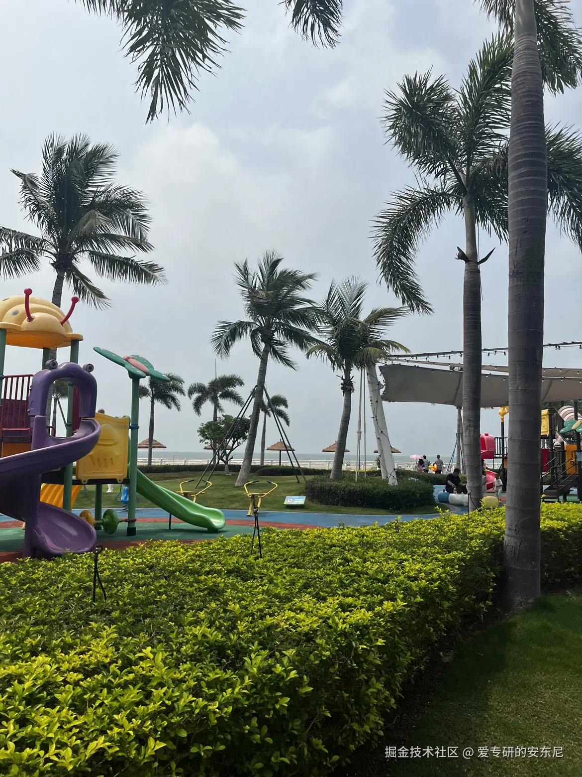 爱专研的安东尼于2026-04-22 17:04发布的图片