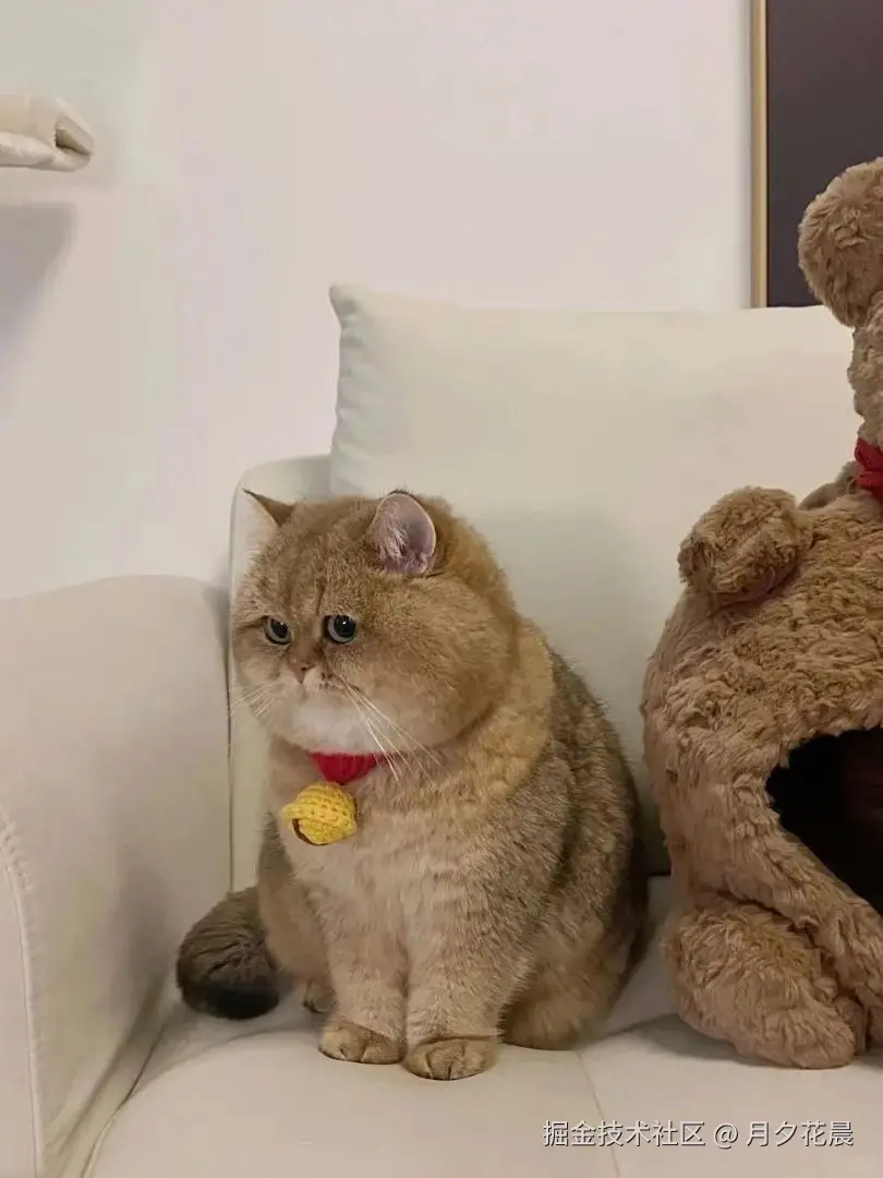 月夕花晨于2024-11-29 11:57发布的图片