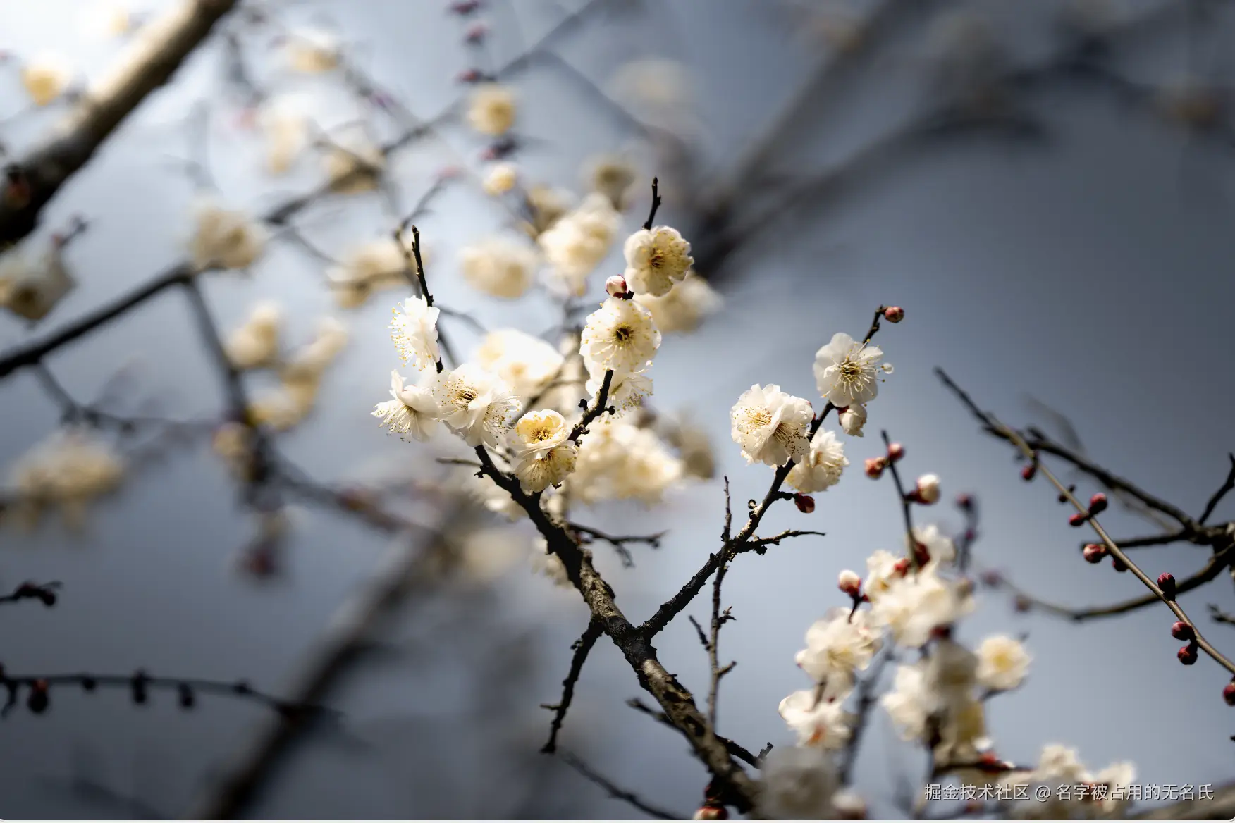 名字被占用的无名氏于2025-03-04 11:43发布的图片