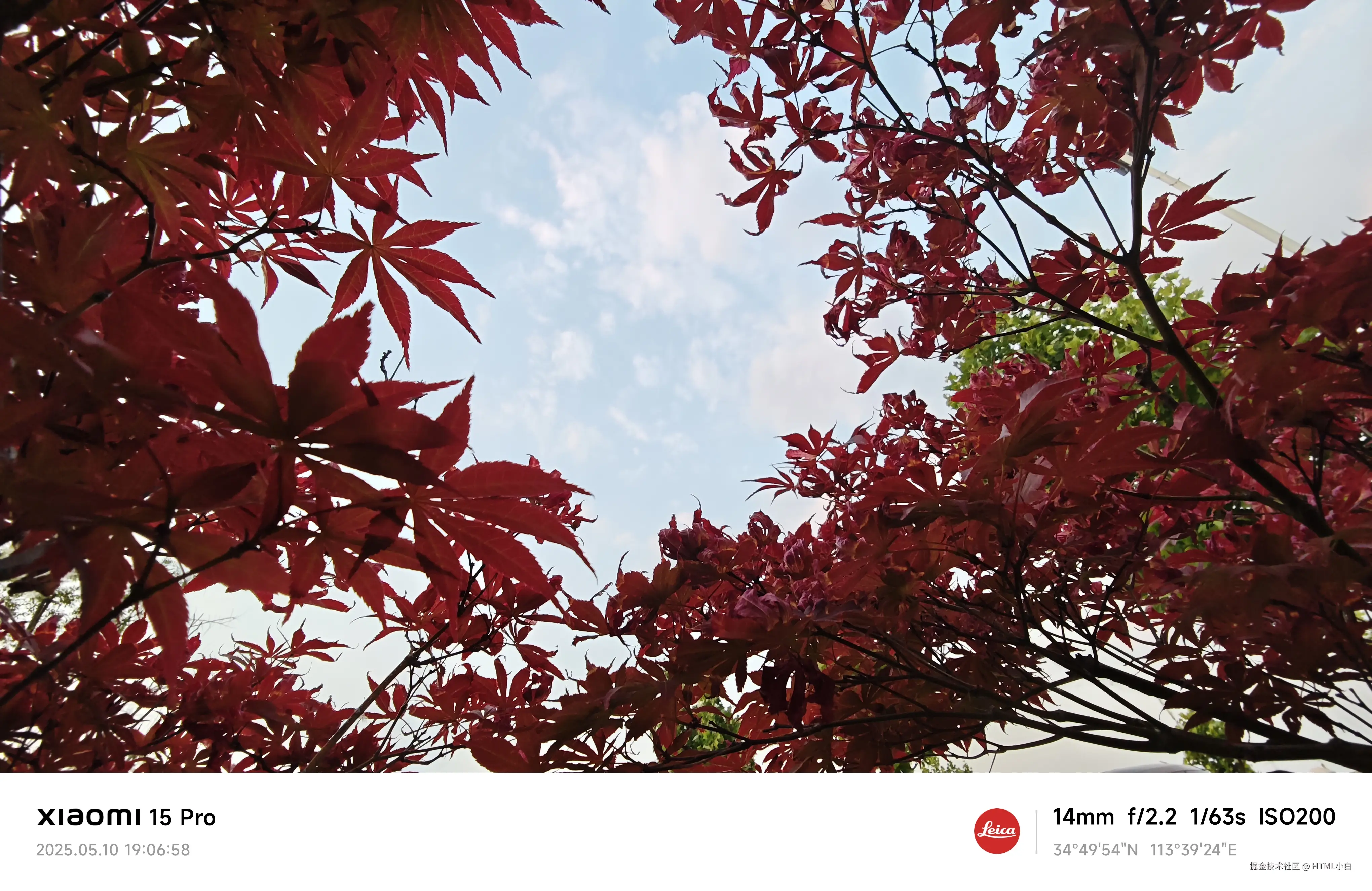 HTML小白于2025-05-12 10:15发布的图片