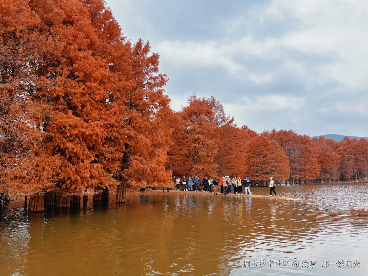 浅唱_那一缕阳光于2025-12-25 11:19发布的图片