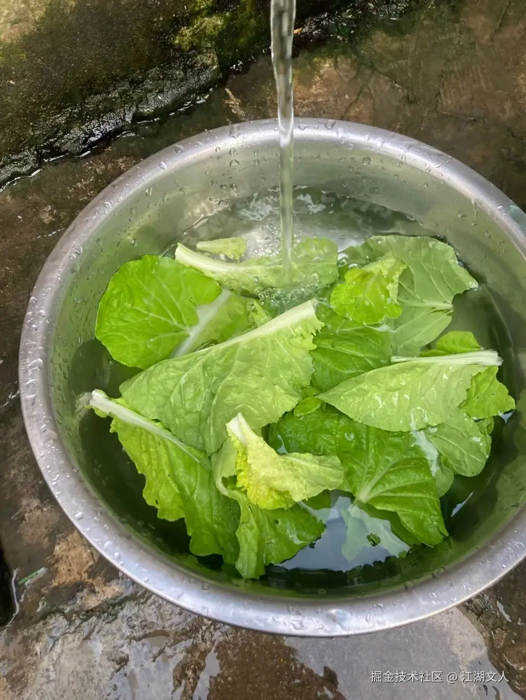 江湖文人于2025-10-30 10:25发布的图片