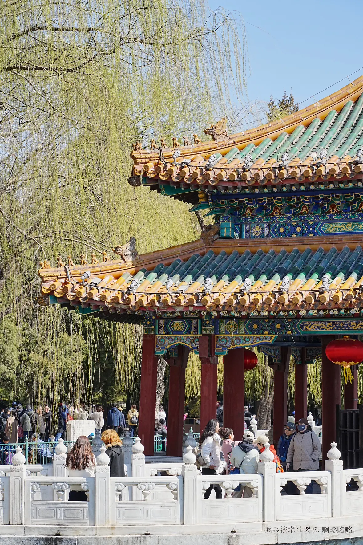 啊略略略于2025-03-17 10:14发布的图片