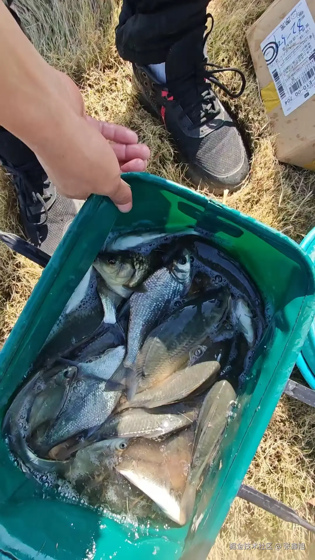 张鑫旭于2025-12-19 10:37发布的图片