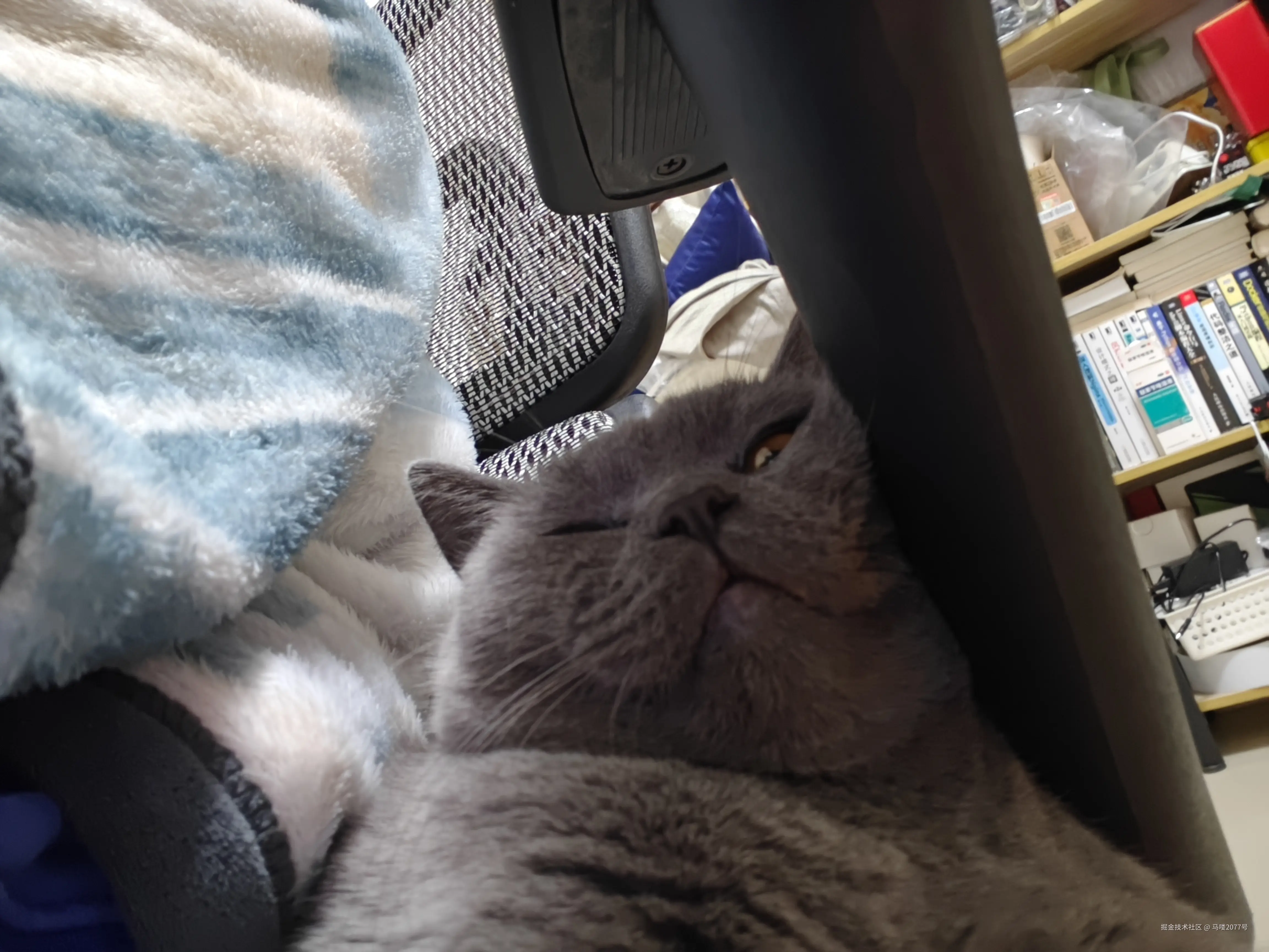 马喽2077号于2026-01-07 12:30发布的图片