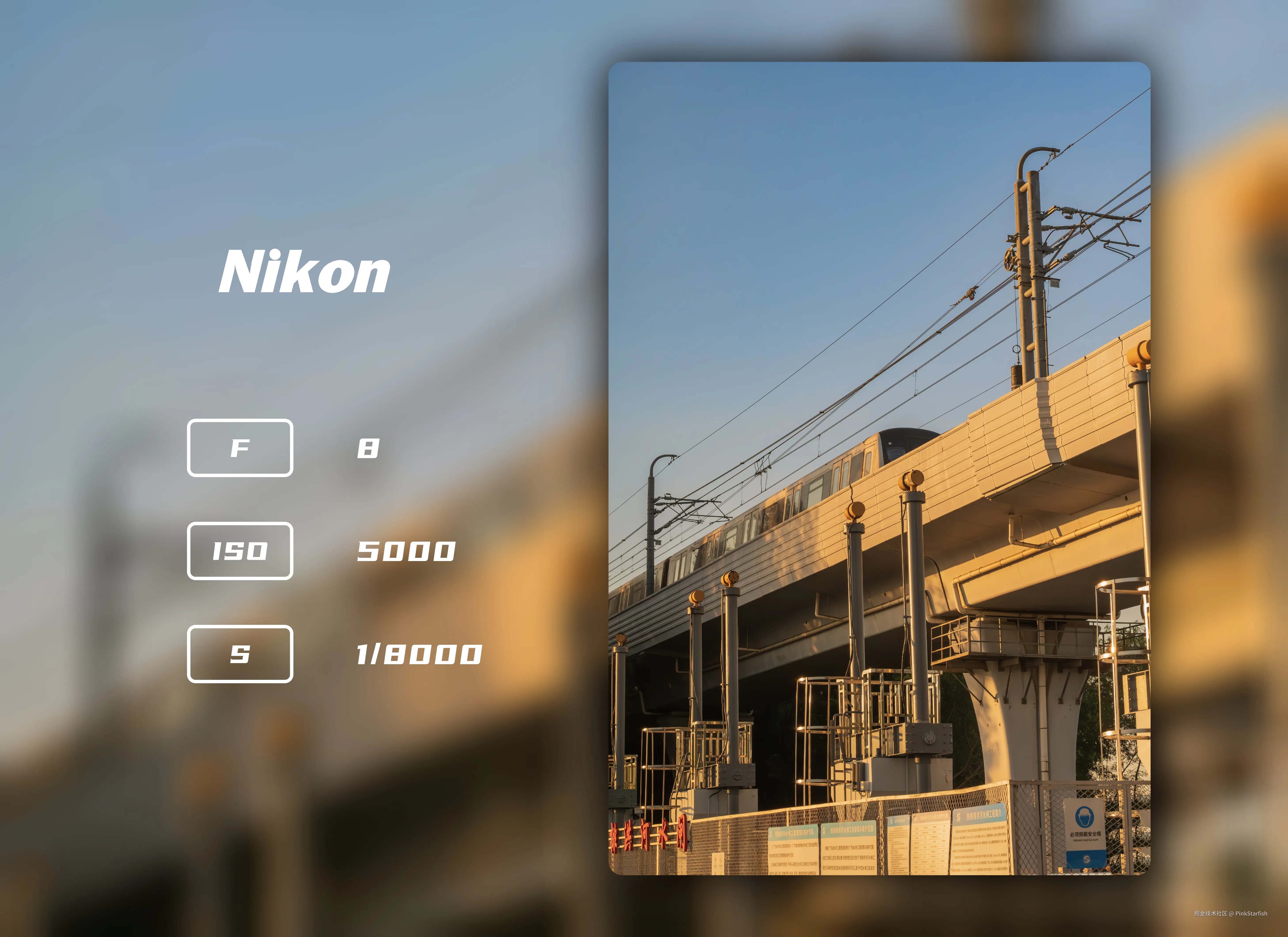 PinkStarfish于2025-06-10 02:49发布的图片