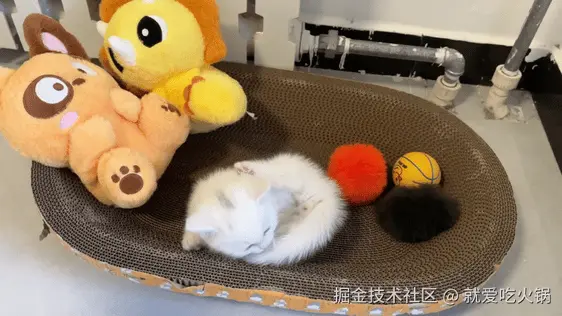 就爱吃火锅于2025-10-14 10:05发布的图片