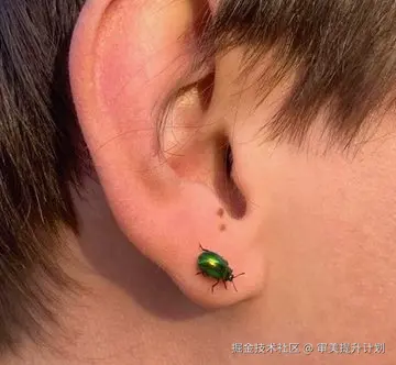 审美提升计划于2026-04-14 18:34发布的图片