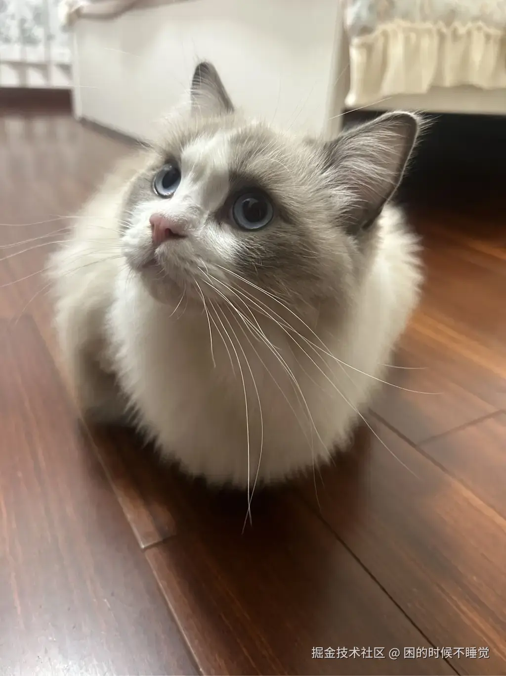 困的时候不睡觉于2026-03-28 08:48发布的图片