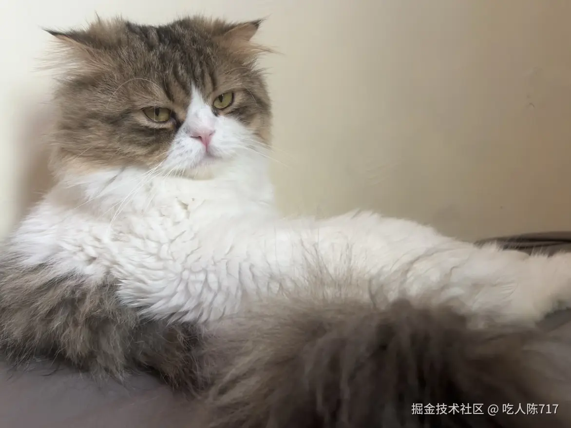 吃人陈717于2025-11-27 14:10发布的图片