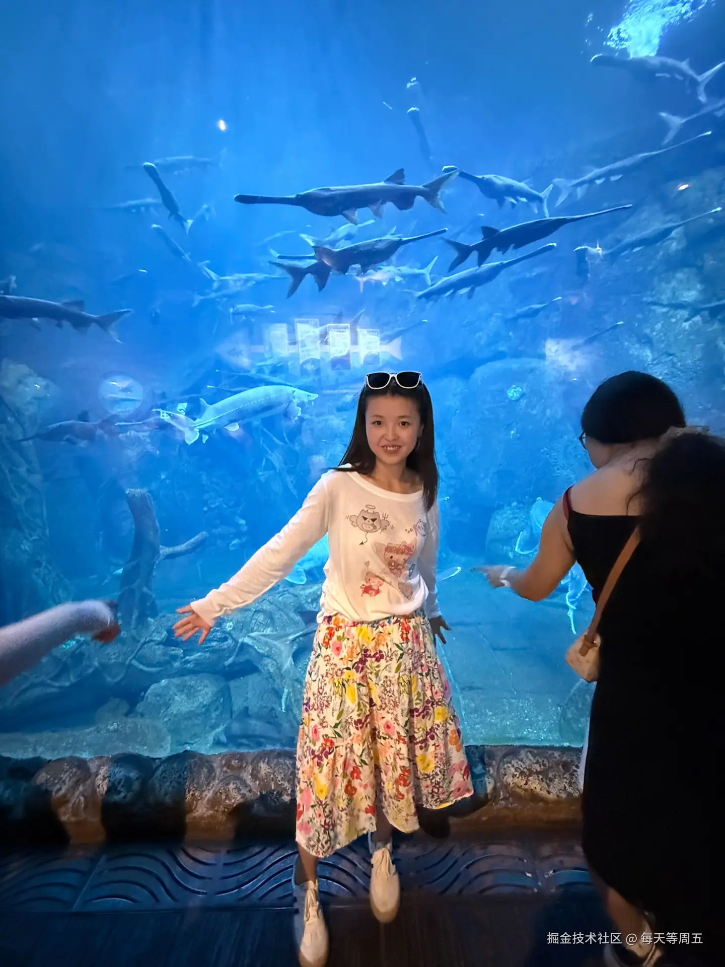 每天等周五于2025-08-25 17:16发布的图片