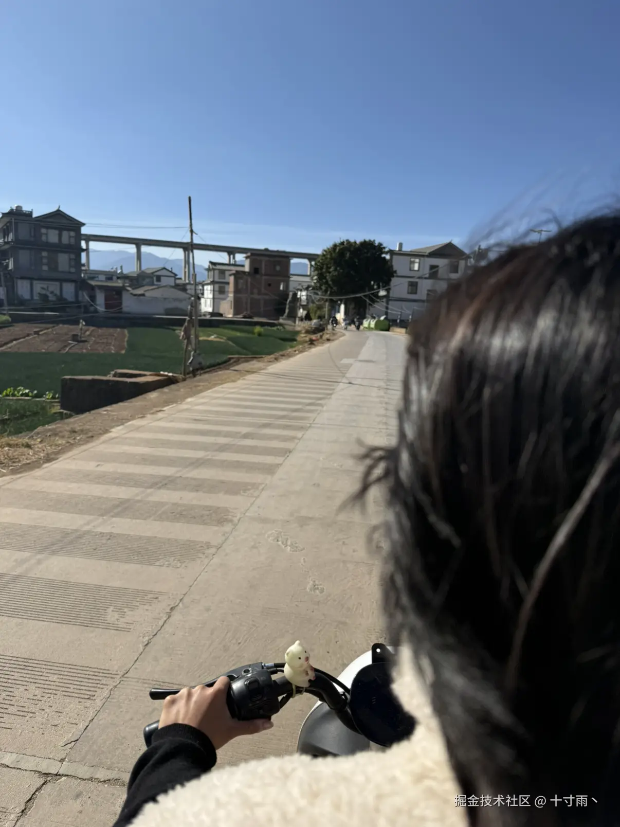 十寸雨丶于2026-02-06 11:51发布的图片